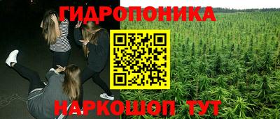 МДМА Можга