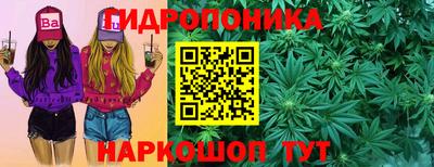 МДМА Можга