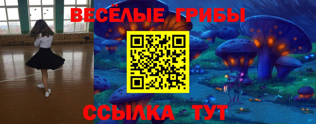 Псилоцибиновые грибы прущие грибы Черногорск