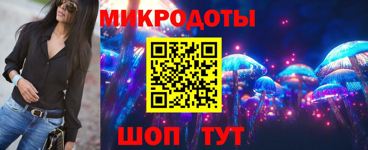 где купить наркоту  Вход с VPN  Черногорск  Галлюциногенные грибы MAGIC MUSHROOMS 